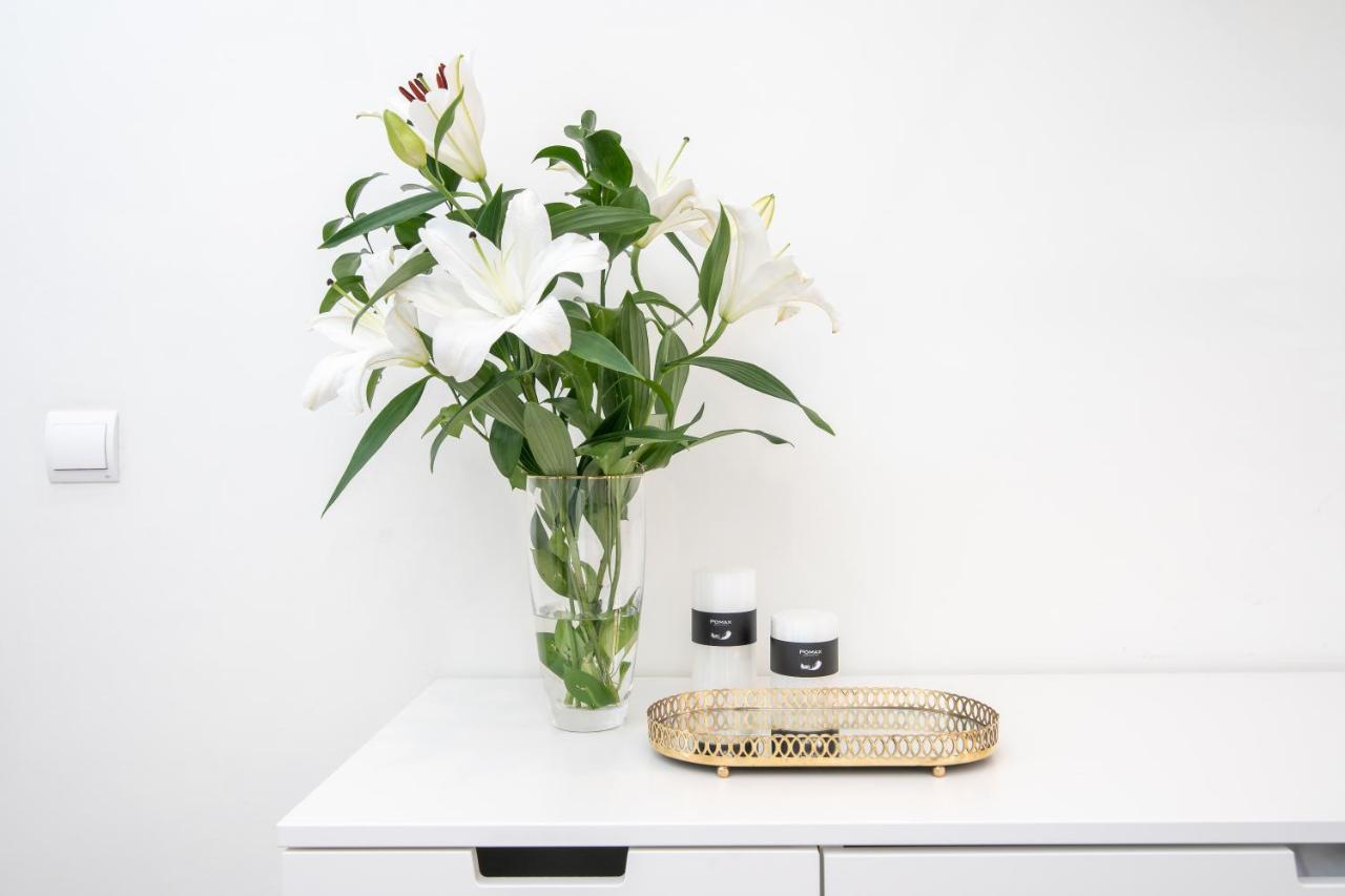 Apartament Iloftmalaga Sebastian Souviron